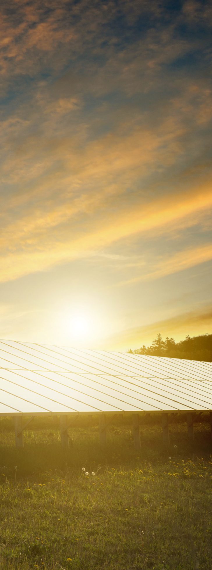shutterstock_188403455 placas solares