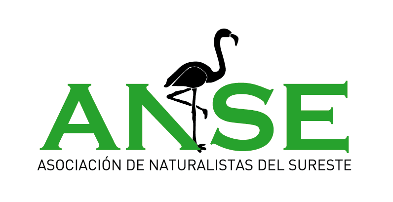 Anse logo