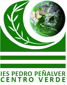 IES VERDE logo