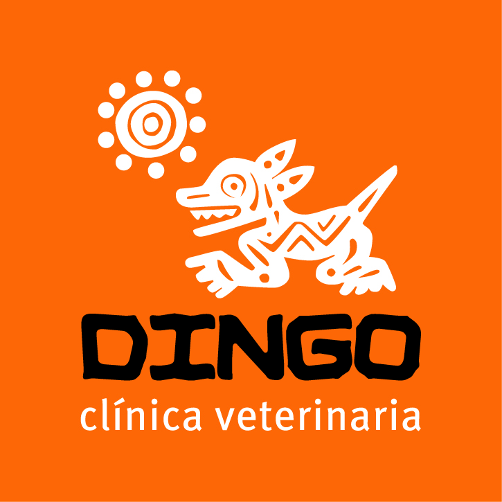 Dingo clínica veterinaria logo