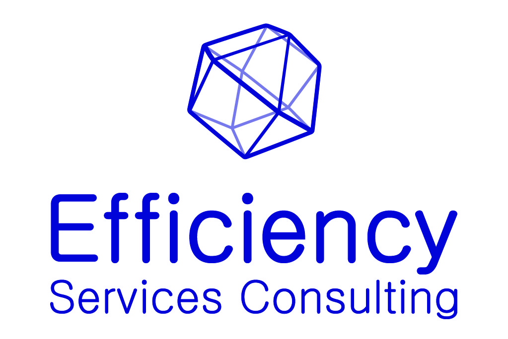 Efficiency Services Consulting logo